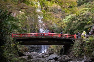 Osaka, Japonya - 07 Kasım 2019: Turist Sonbahar sezonu Red Maple
