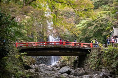 Osaka, Japonya - 07 Kasım 2019: Turist Sonbahar sezonu Red Maple