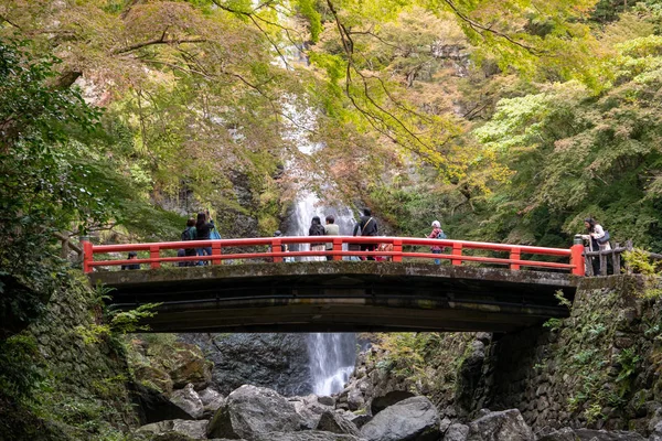 OSAKA, JAPÃO - NOVEMBRO 07, 2019: temporada de outono turístico Red Maple — Fotografia de Stock