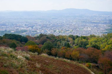 Japonya 'nın Nara şehrindeki güzel Nara dağı. Nara Parkı vahşi hayvan geyiklerini görmek için ünlü bir yerdir.