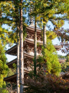 Japon sonbaharı. Kyoto Daigoji Tapınağı.