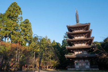 Japon sonbaharı. Kyoto Daigoji Tapınağı.