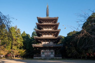 Japon sonbaharı. Kyoto Daigoji Tapınağı.