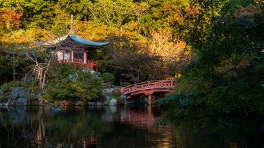 Japon sonbaharı. Kyoto Daigoji Tapınağı.