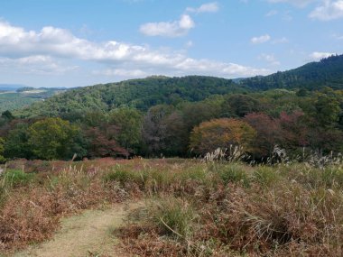 Japonya 'nın Nara şehrindeki güzel Nara dağı. Nara Parkı vahşi hayvan geyiklerini görmek için ünlü bir yerdir.