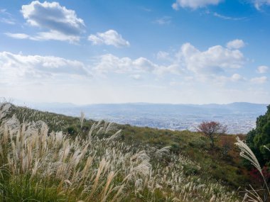 Japonya 'nın Nara şehrindeki güzel Nara dağı. Nara Parkı vahşi hayvan geyiklerini görmek için ünlü bir yerdir.