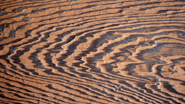 Tablón de madera grunge Fondo de textura para el diseño — Foto de Stock