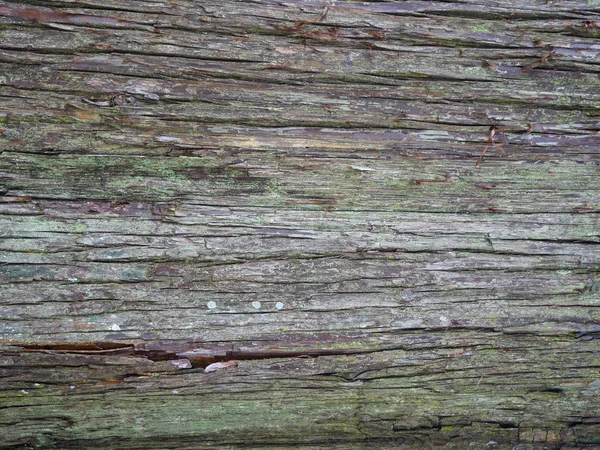 Grunge wood plank Texture background for design — Stock Photo, Image