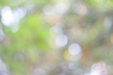 Güneşli, soyut yeşil doğa arka planı, Bokeh ışığı, doğa, bahçe, bahar ve yaz mevsimi olan Görüntü Parkı