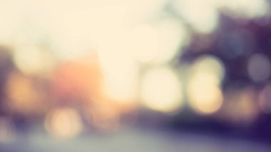 Güneşli, soyut yeşil doğa arka planı, Bokeh ışığı, doğa, bahçe, bahar ve yaz mevsimi olan Görüntü Parkı