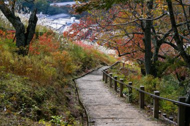 Japonya 'nın Nara şehrindeki güzel Nara dağı. Nara Parkı ünlü bir yer.