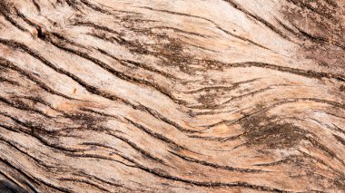 Tasarım için ahşap doku arkaplanı