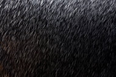Soyut yağmur dokusu arka planı. arkaplan yağmuru gece ışığında