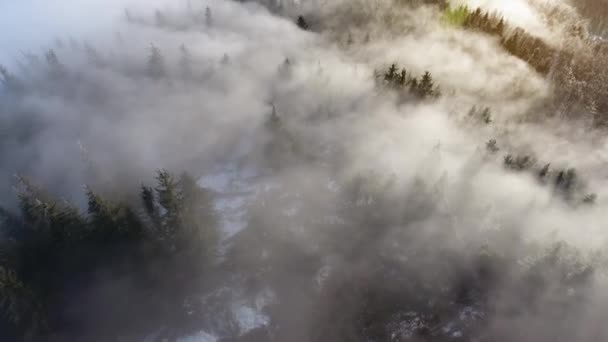 Increíble Niebla Nubosa Sobre Las Montañas — Vídeo de stock