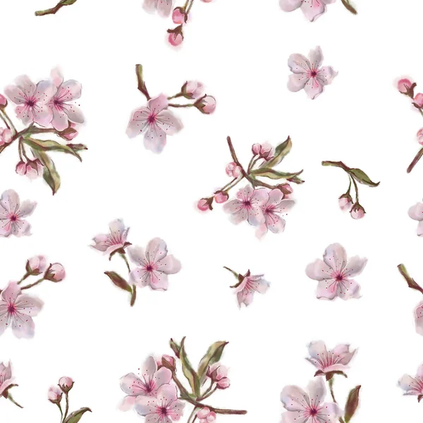 Patrón Floral Acuarela Aislado Sobre Fondo Blanco Manzana Cereza Almendra —  Fotos de Stock