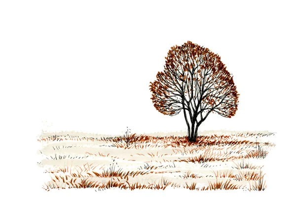 Самотнє Дерево Травою Поле Чорний Сепія Ручний Гужовий Ілюстрація Ізольовані — стокове фото