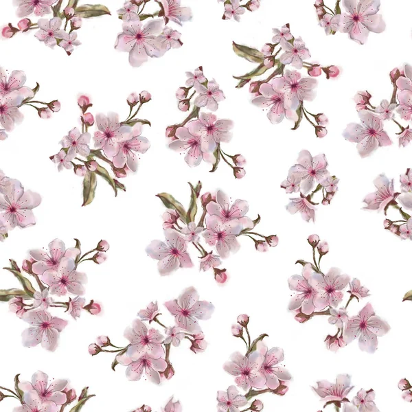 Sakura Blüht Nahtlos Muster Isoliert Auf Weiß Aquarell Gemalter Floraler — Stockfoto