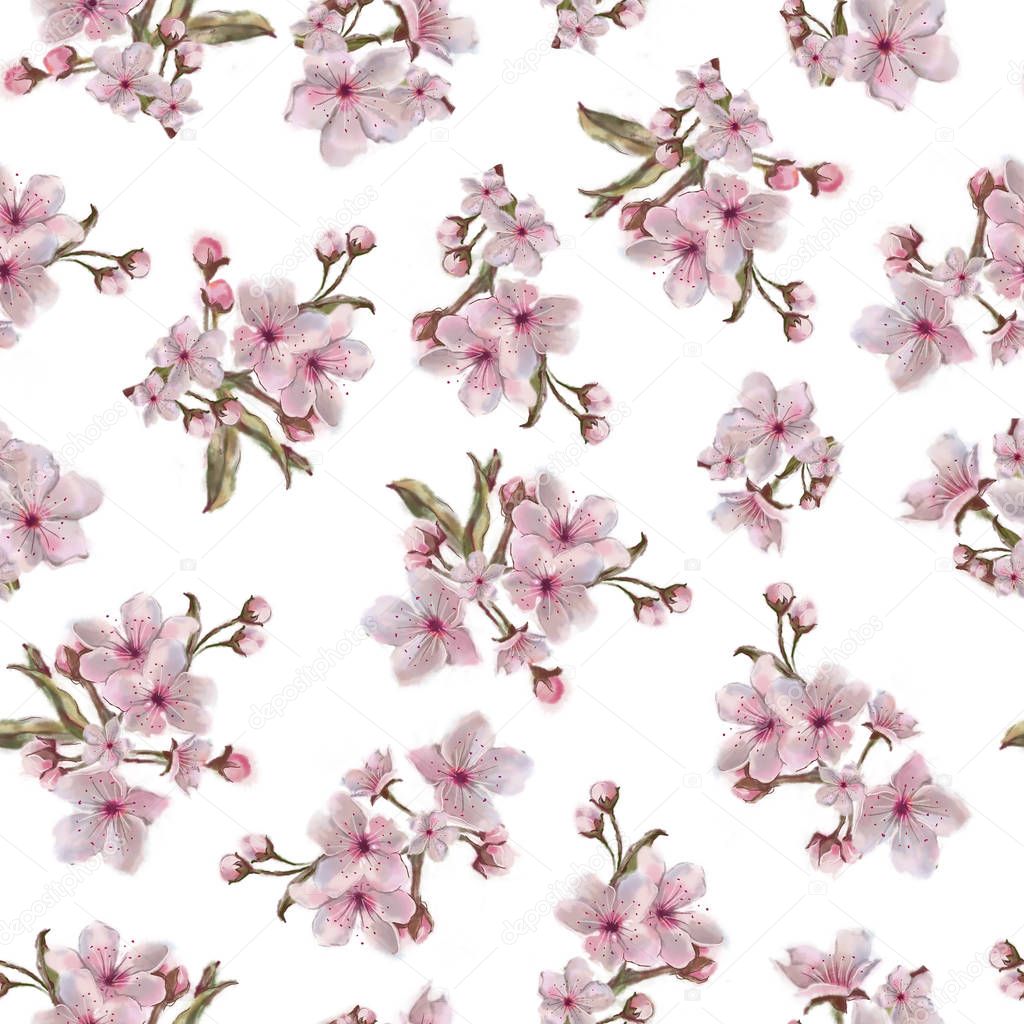 Sakura Blossoms Seamless Pattern Isolated on White.  Watercolor Painted Floral Rapport for Backgrounds, Prints, and Textiles.