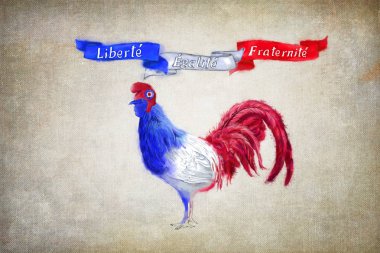 Bastille günü kutlama vatansever sembolleri. Üç renkli horoz özgürlük kap ve palaska ile. Üç renkli kurdeleler Liberte, Egalite ve yazılı Fraternite. Sulu boya boyalı Fransız horoz ve Vintage kağıt arka plan vatansever şeritler.