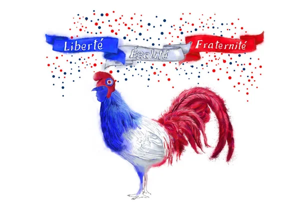 Liberte Egalite Fraternite Images Libres De Droit Photos De Liberte Egalite Fraternite Depositphotos