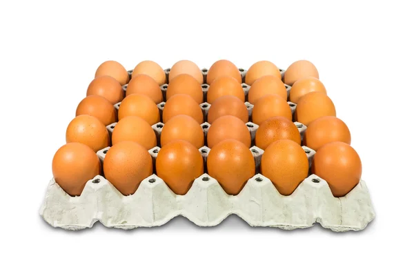 Fresh brown eggs — Stock Photo, Image