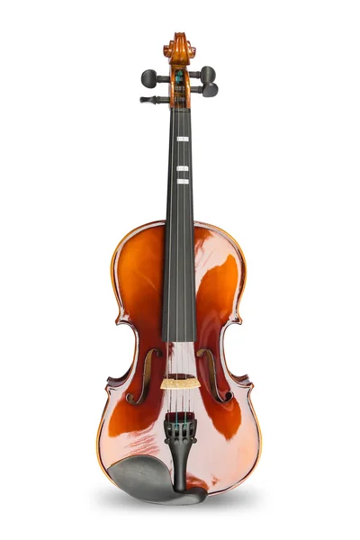 Violin on white background — Stock Photo, Image