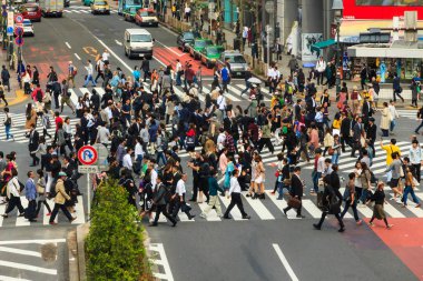 Shibuya yaya geçidi geçiş