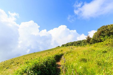 Kew mae pan doğa iz