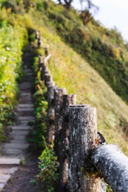 Kew mae pan doğa iz