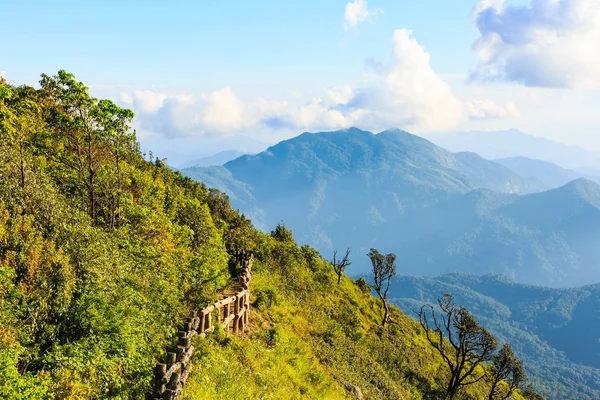 Kew mae pan naturstig — Stockfoto