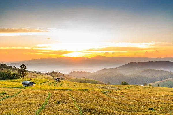 Gün batımında hasat sonra teraslı pirinç alan — Stok fotoğraf