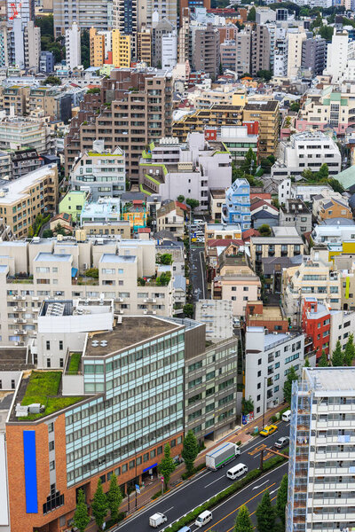 Aerial view of Tokyo city, various kinds on building and road in the city