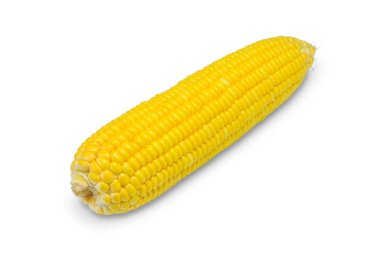 Tatlı Mısır beyaz