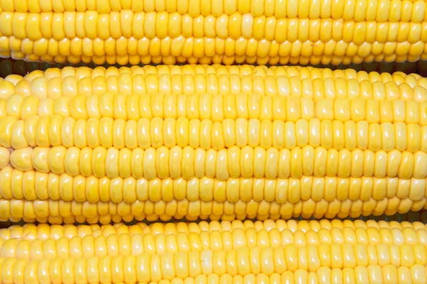 Sweet corn on the pile — Stock Photo, Image