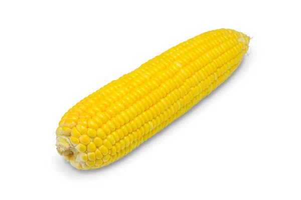 Sweet corn on white — Stock Photo, Image