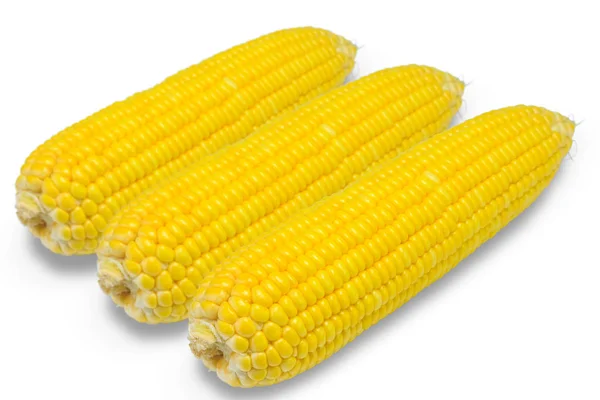 Sweet corn on white — Stock Photo, Image