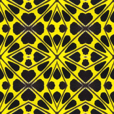 Kelebek kanatları bölümünden oluşturulan arka plan