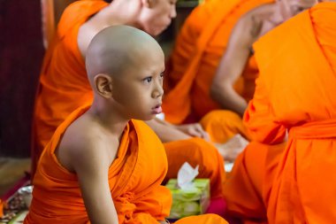 Acemi ve rahipler de hak verme