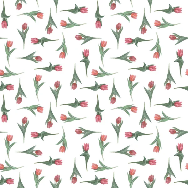 Безшовний Візерунок Тюльпанів Намальованих Аквареллю Тканин Шпалер Обгорткового Паперу — стокове фото