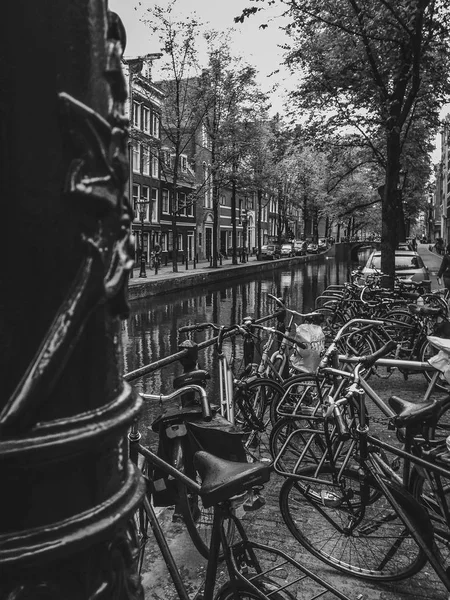 Quero andar de bicicleta. — Fotografia de Stock