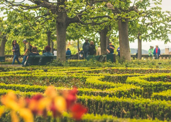 Bamberg Garden