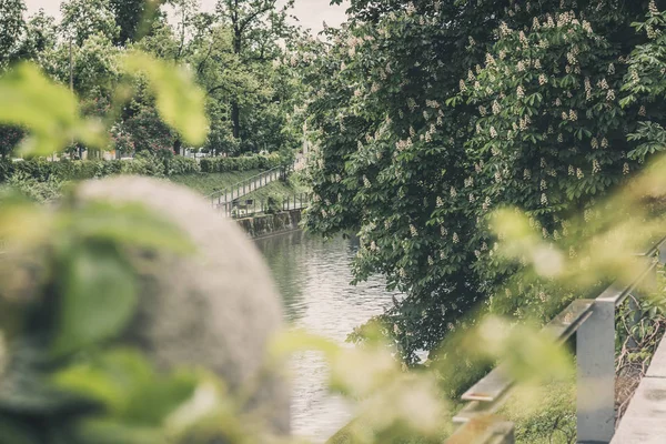 Ljubljanica Nehri Ljubljiana