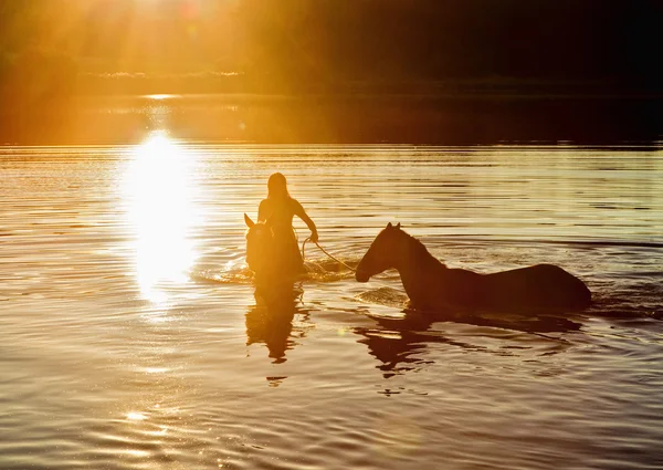 Frau mit zwei Pferden in einem See bei Sonnenuntergang — Stockfoto