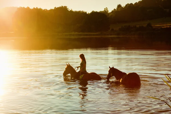 Frau mit zwei Pferden in einem See bei Sonnenuntergang — Stockfoto