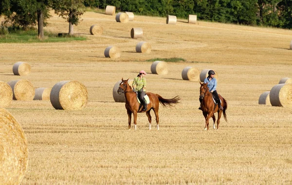 Duas mulheres cavalgando em um campo com fardos de Hay — Fotografia de Stock