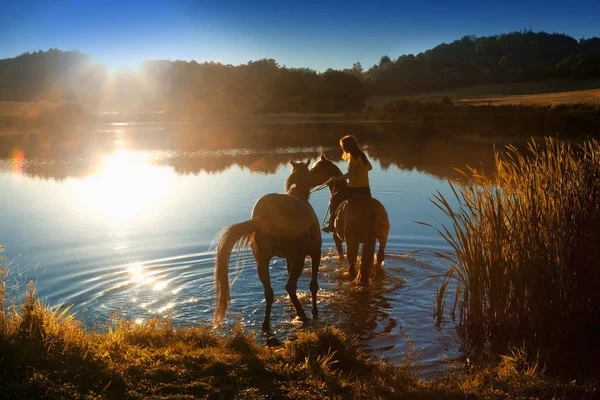Mulher com dois cavalos em um lago ao pôr do sol — Fotografia de Stock