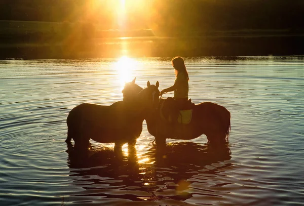 Kvinna med två hästar i en sjö vid solnedgången — Stockfoto