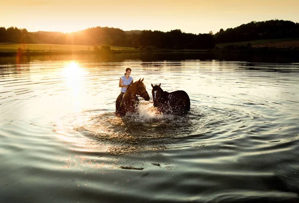 Frau mit zwei Pferden in einem See bei Sonnenuntergang — Stockfoto