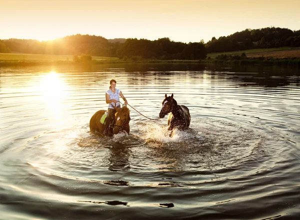 Frau mit zwei Pferden in einem See bei Sonnenuntergang — Stockfoto