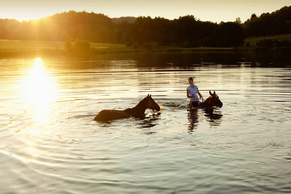 Frau mit zwei Pferden in einem See bei Sonnenuntergang — Stockfoto